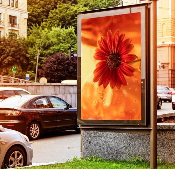 Minden, amit a molinókról tudnod kell