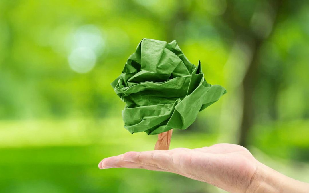 A környezetvédelem fontossága a nyomdaiparban 